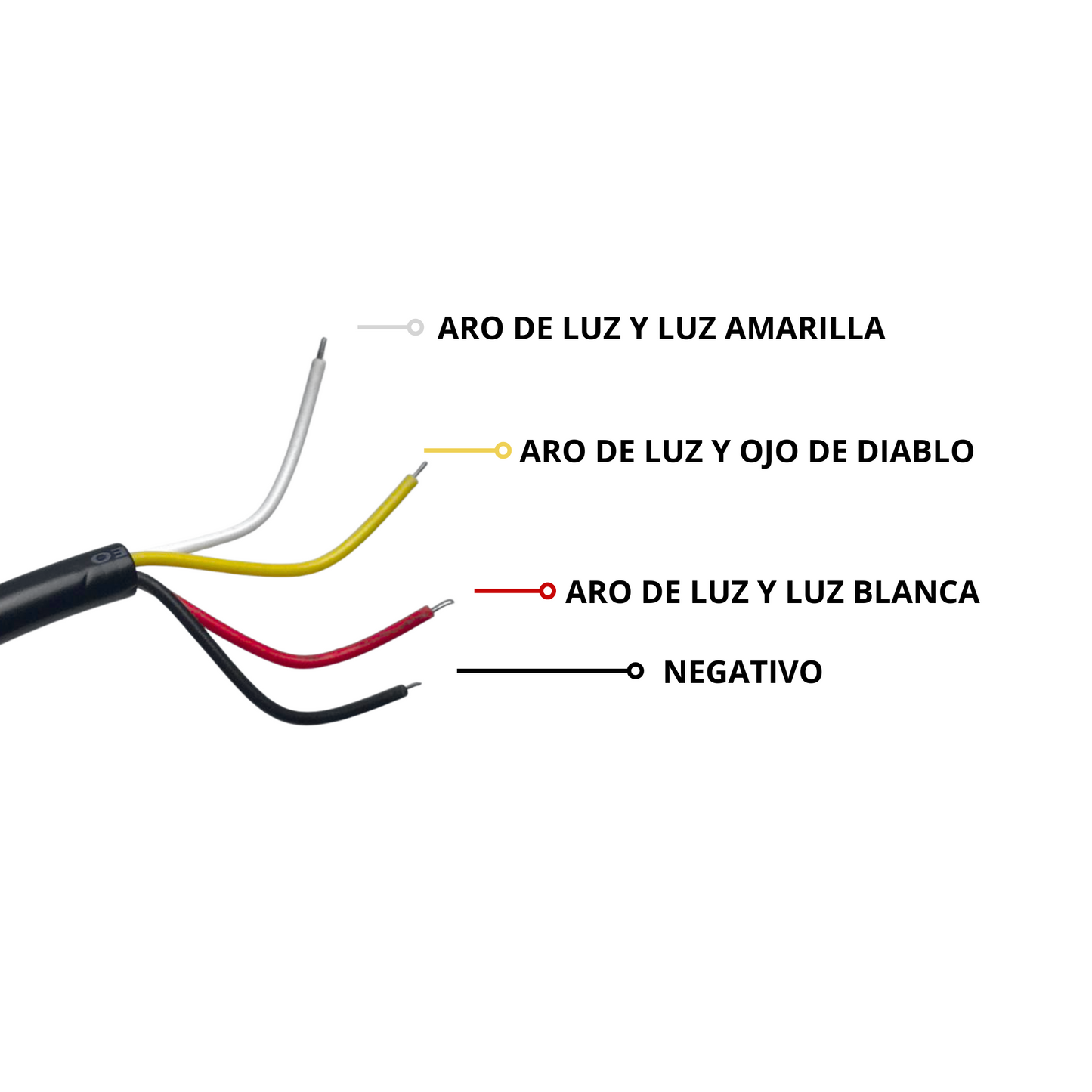FAROS AUXILIARES LUPA ARO DE LUZ Y BASES STALLION