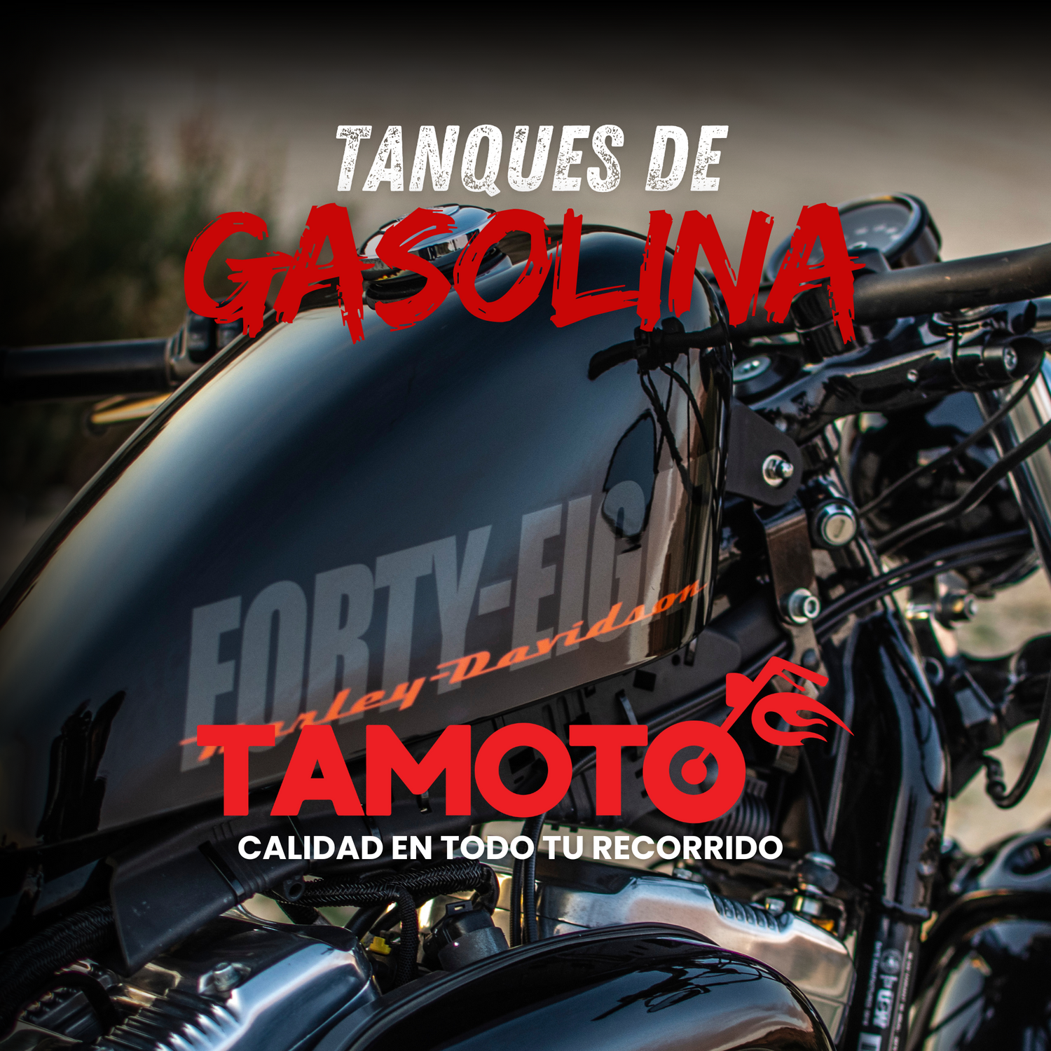 TANQUES DE GASOLINA