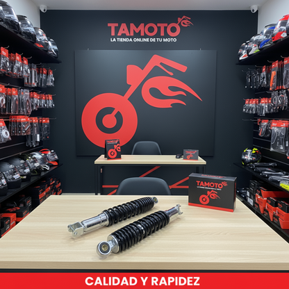 AMORTIGUADORES BERA BWS 5G