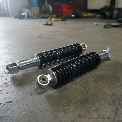 AMORTIGUADORES BERA BWS 5G