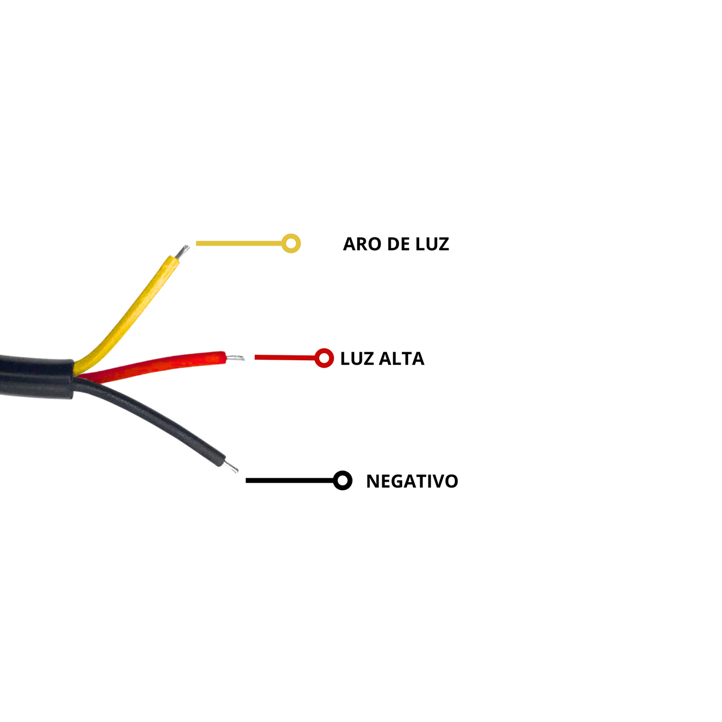 FARO BERA LEON LED UNIVERSAL