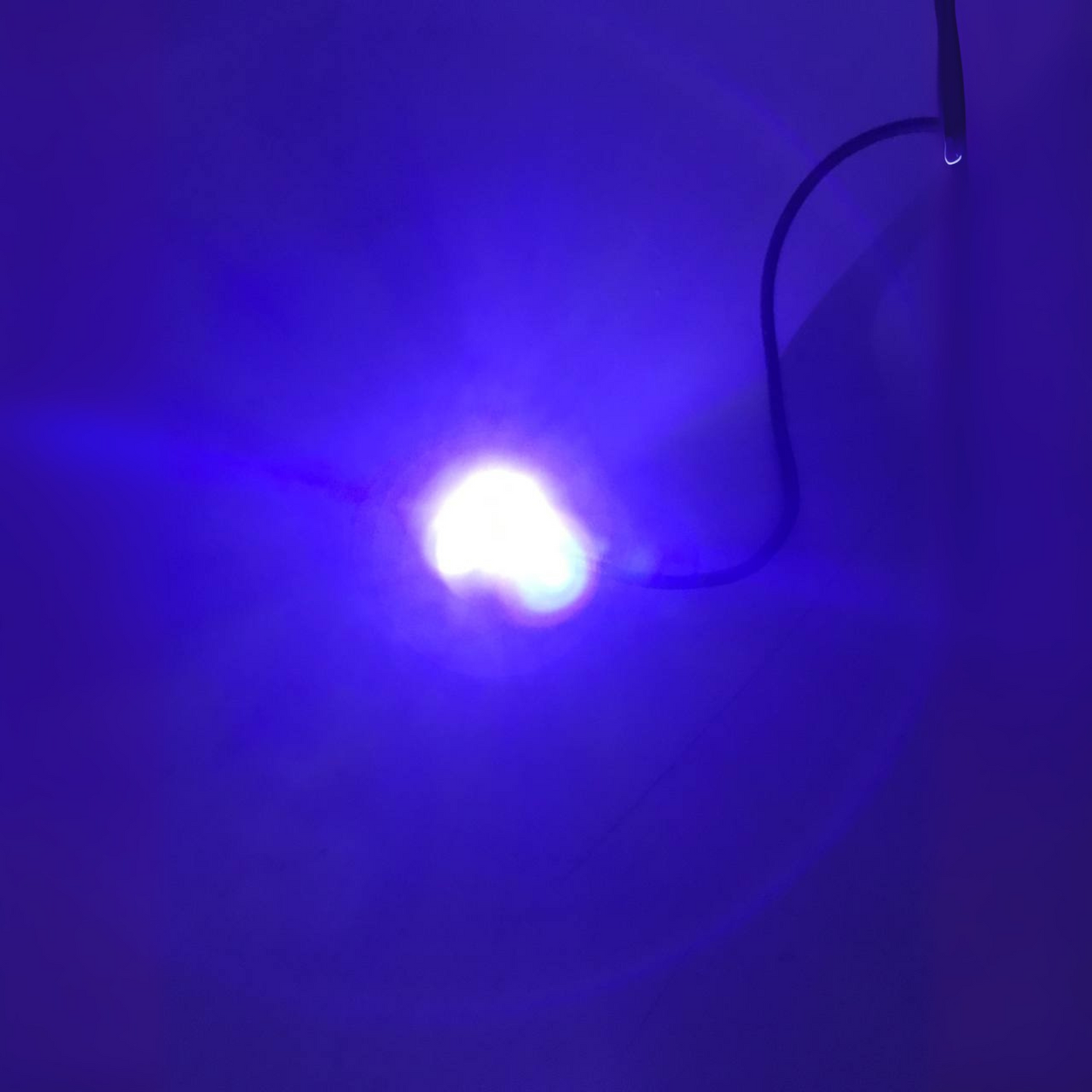 LUCES LED ENROSCABLES ILIMINACION PARA PLACA ORIGINAL STALLION (PAR)