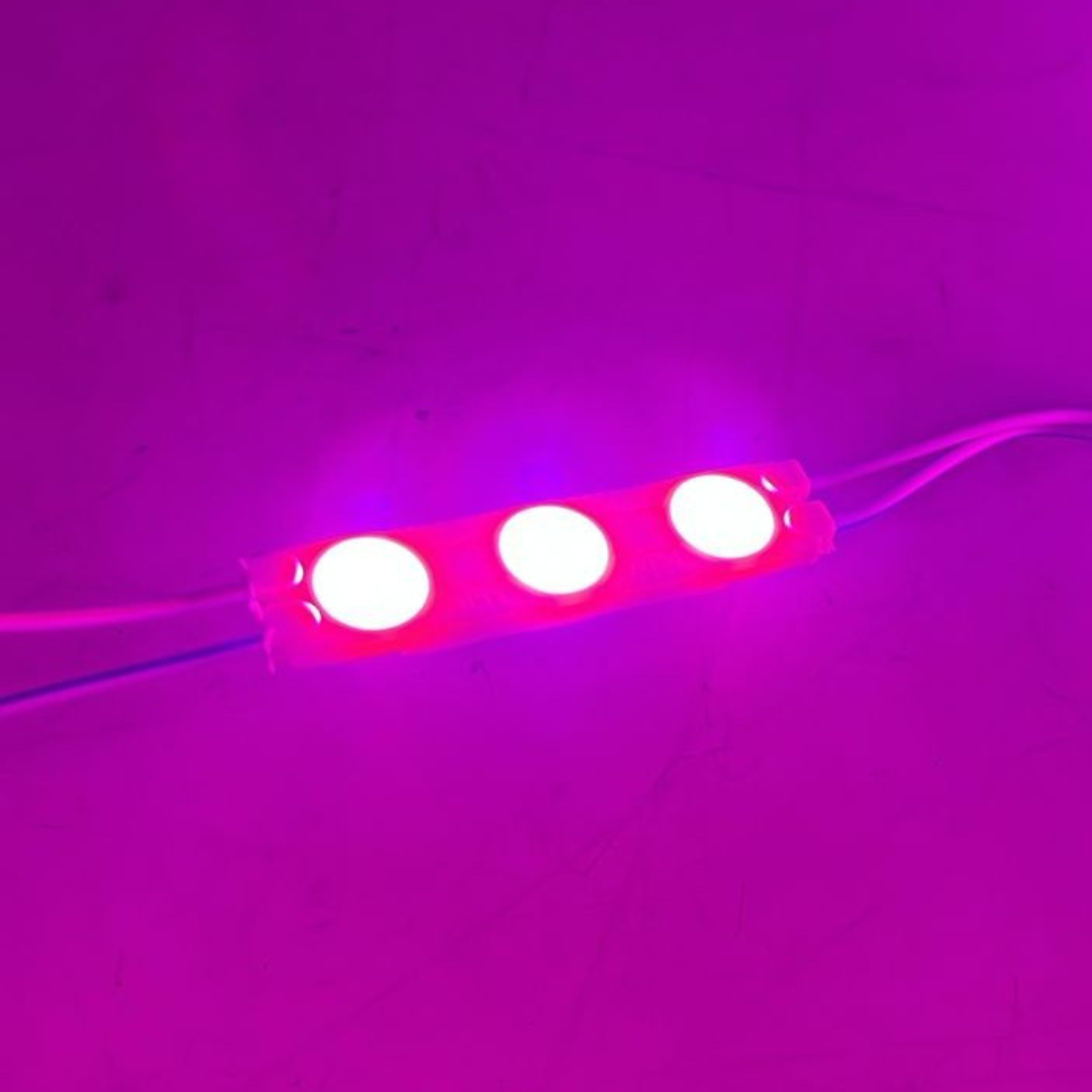 MODULO LED 3 PUNTOS PEQUEÑO FUCSIA