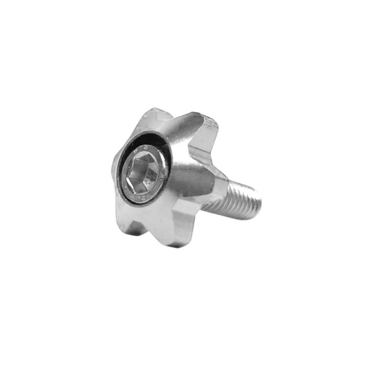 TORNILLOS DECORATIVOS ESTRELLA PLATEADO