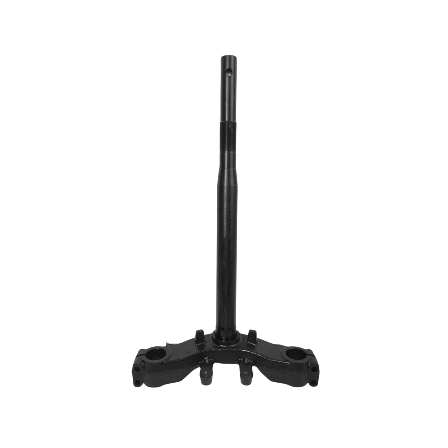T INFERIOR BERA BWS 5G